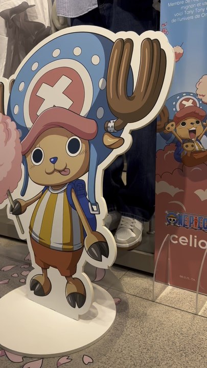 Aperçu de la collection chopper x celio en boutique
