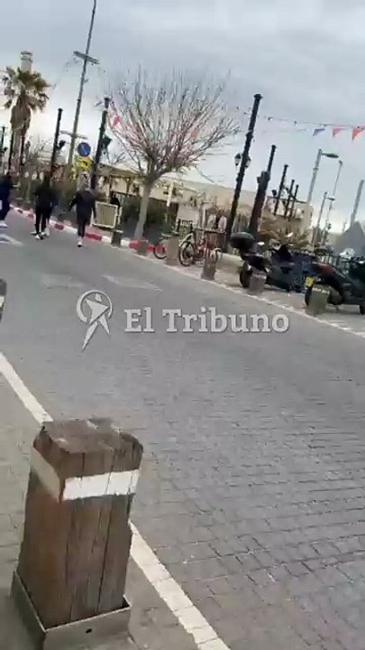 Fuertes vientos sacuden al Valle de Lerma: árboles caídos y municipios sin luz