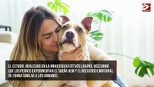 Los perros podrían ser autistas