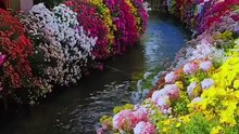 Beautiful Qur’an Recitation – Peaceful and Spiritu