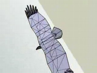 Projet de Vautour Fauve Radiocommandé