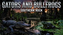 Gators And Bullfrogs
