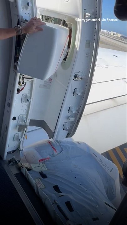 United Airlines Plane Makes Emergency Landing at LAX After Engine Bursts into Flames Mid-Flight