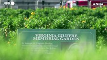 Attivisti dedicano a Virginia Giuffre i giardini davanti a Buckingham Palace