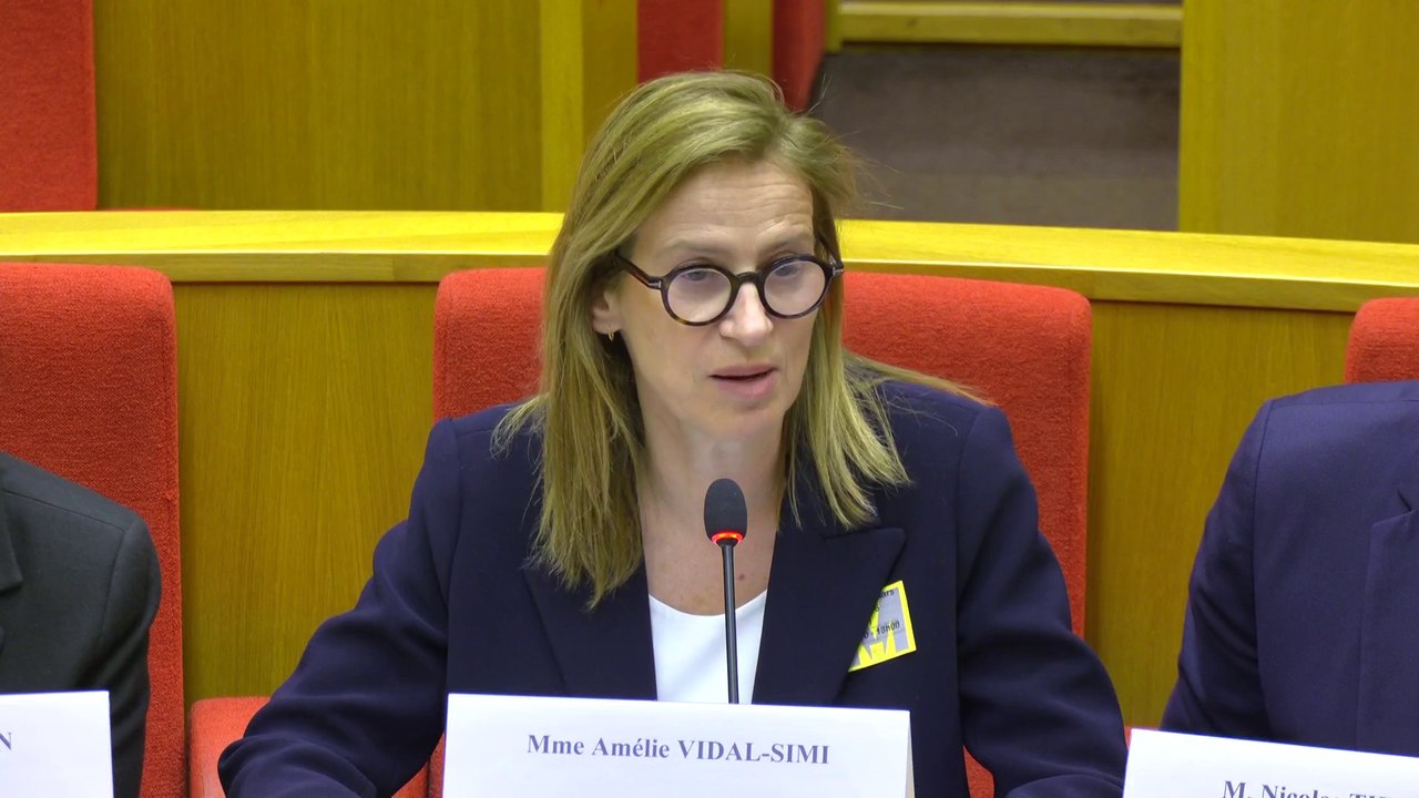 « Les hausses de prix ne reflètent pas un enrichissement des industriels », assure au Sénat Mondelez