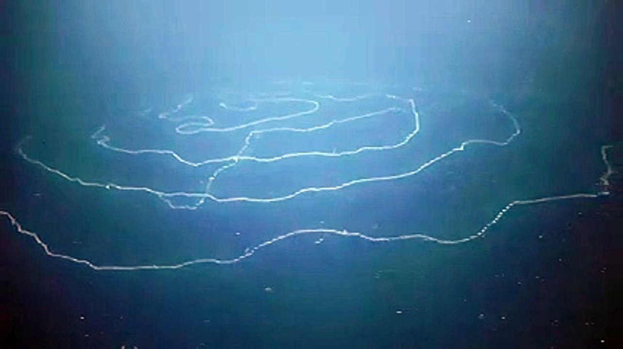 شاهد مخلوق غريب في قاع المحيط في حجم مبنى مكون من 11 طابقًا