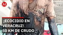 50 km de costa contaminados por petróleo en Pajapan: Pemex niega derrame