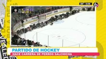 Carrera de perros salchicha en hielo