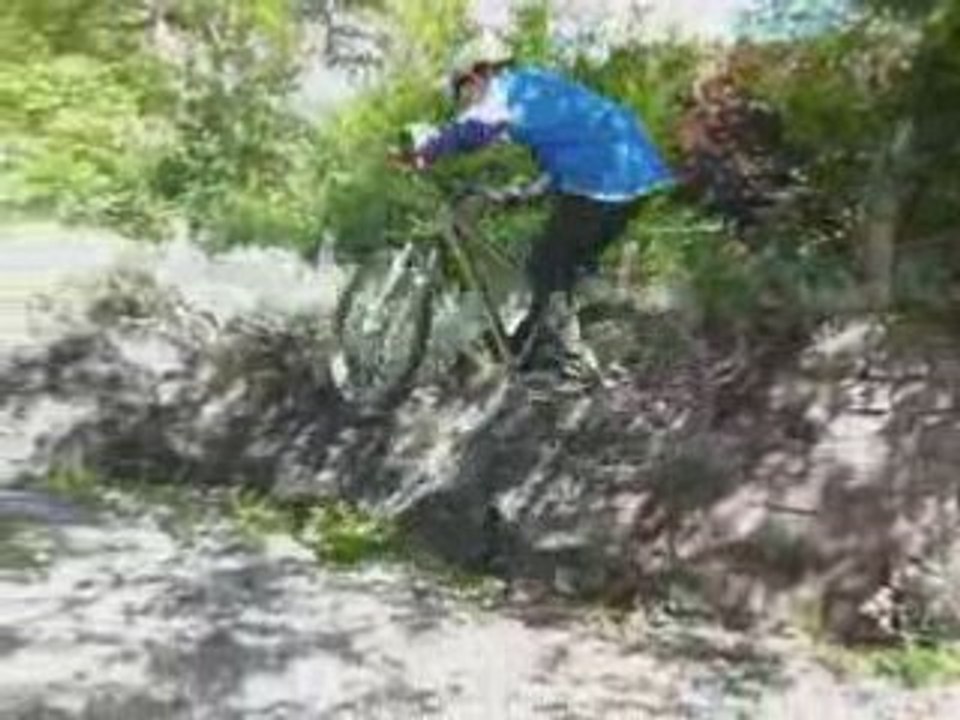 max vtt