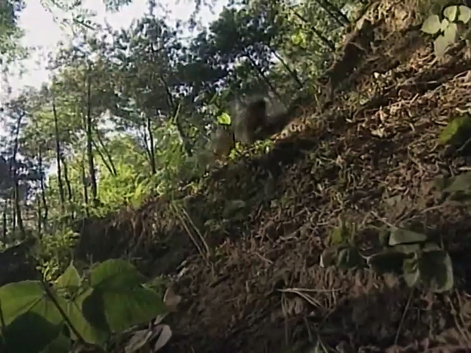 Thái Cực Tôn Sư (1997) (Ngo Kinh) - 04