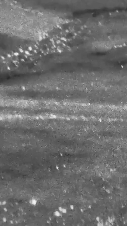 British fighter jets shoot down drones over Jordan and Iraq