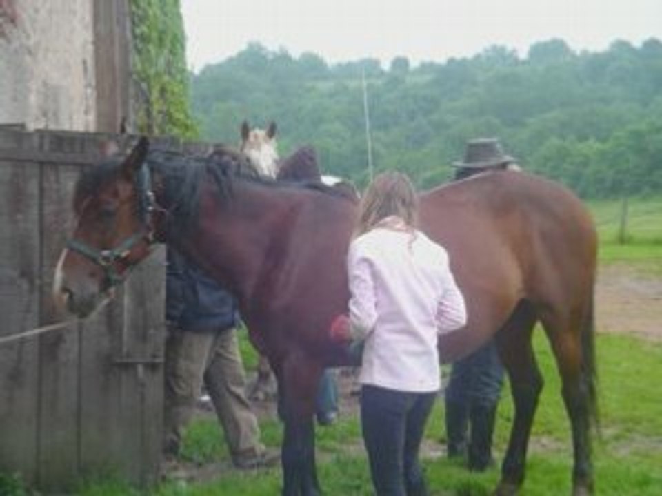 Galop 4