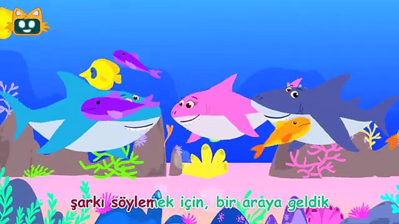 Köpekbalığı Şarkısı | MiniYo Sualtı Şarkıları