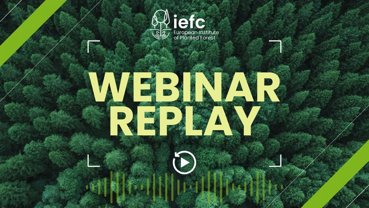 Webinar - Maritime pine and pine wood Nematode in South-West Europe: Status and challenges