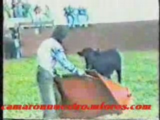 Camaron Toreando inedito