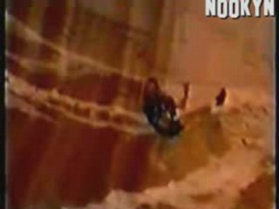 Plaisir et danger(2)