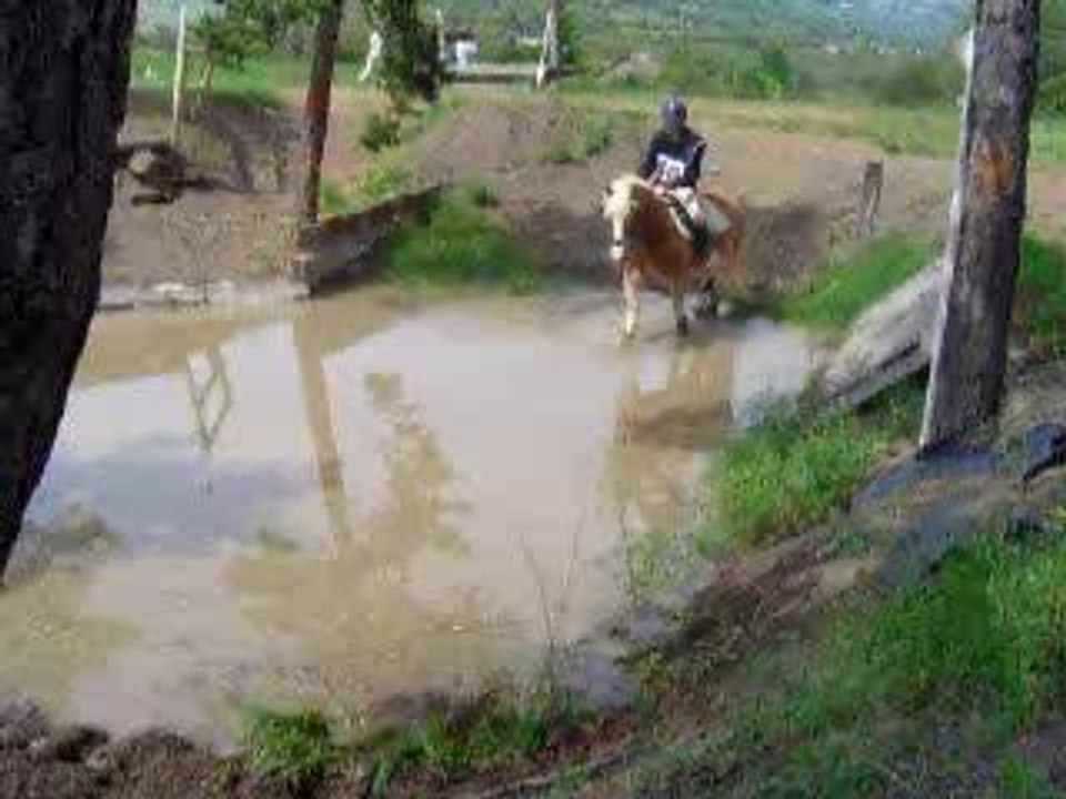 Cross_Tallard