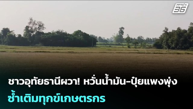 ชาวอุทัยธานีผวา! หวั่นน้ำมัน-ปุ๋ยแพงพุ่ง ซ้ำเติมทุกข์เกษตรกร | เข้มข่าวเย็น | 4 มี.ค. 69