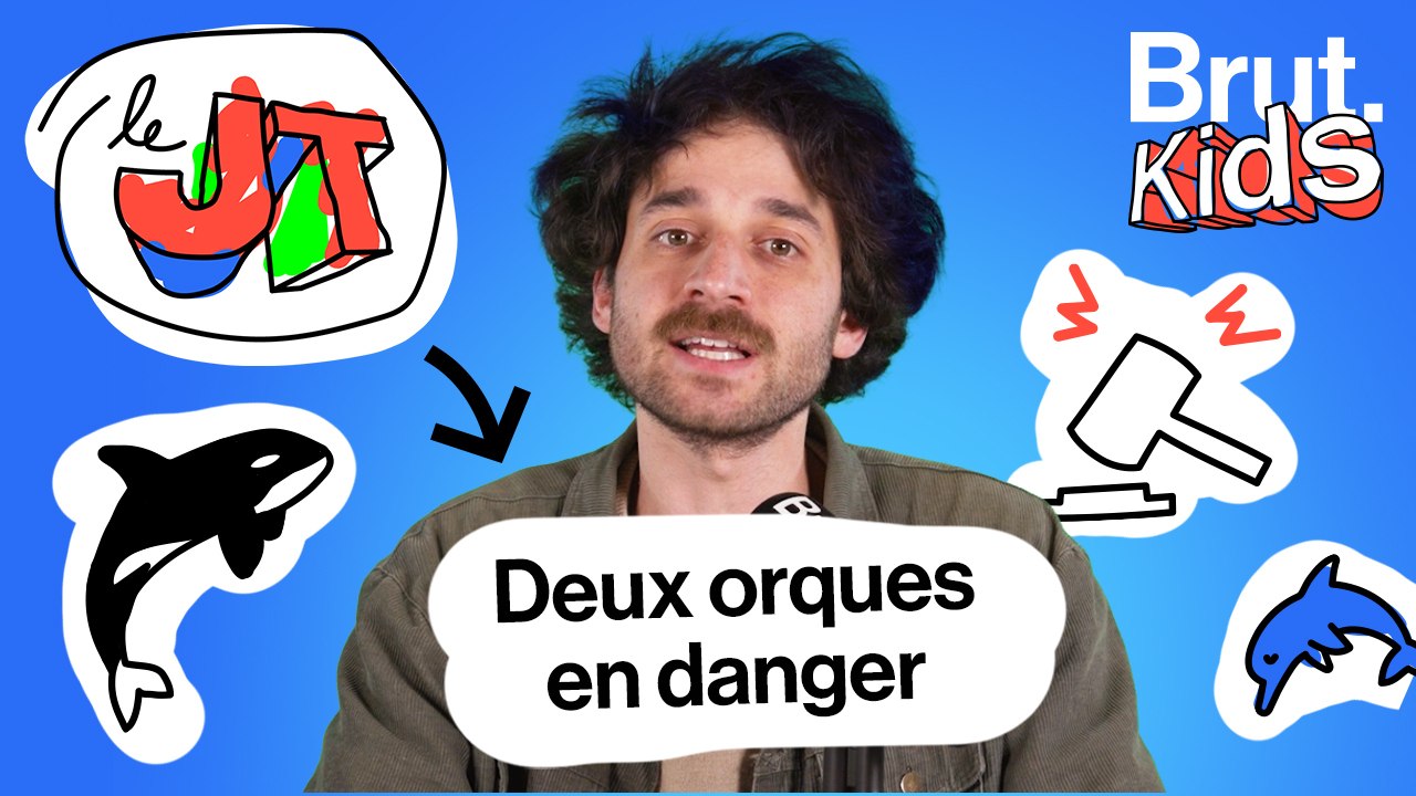 JT Kids - Les orques de Marineland