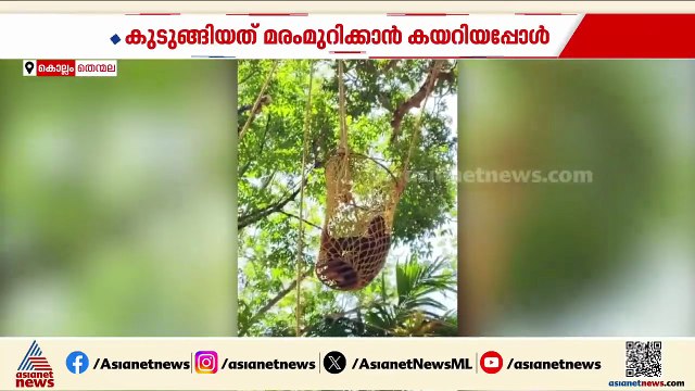 മരം മുറിക്കാനായി കയറി, BP കുറഞ്ഞ് മുകളിൽ കുടുങ്ങി; രക്ഷകരായി ഫയർഫോഴ്സും നാട്ടുകാരും