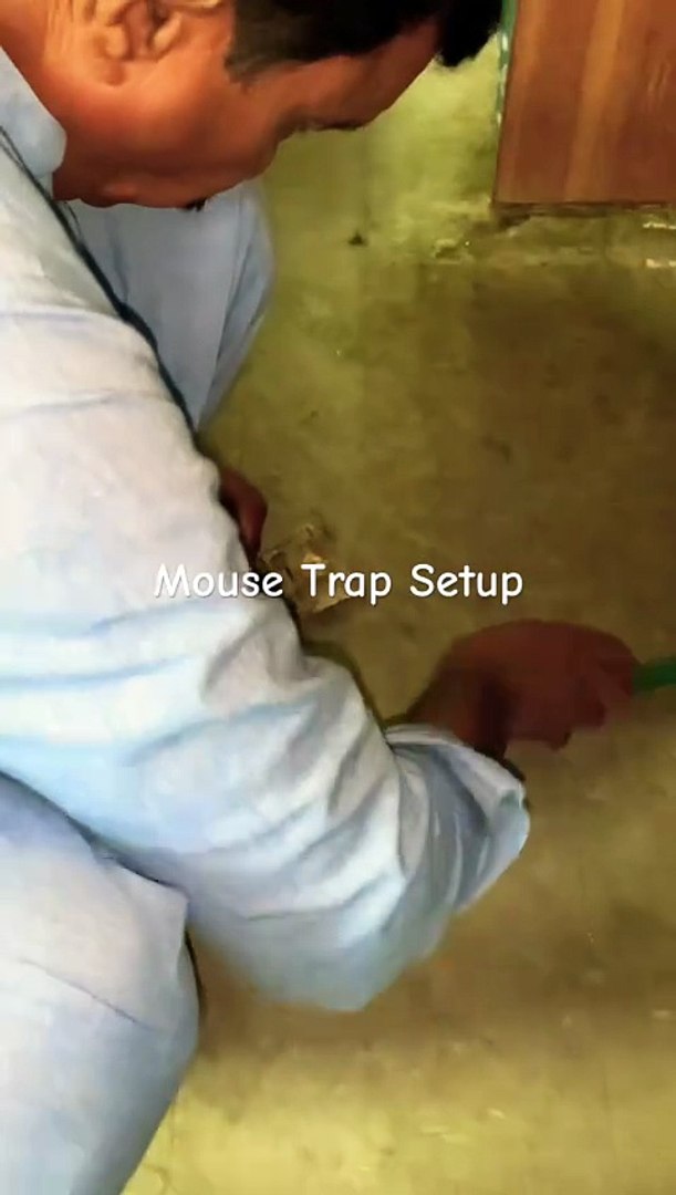Mouse Trap Setup