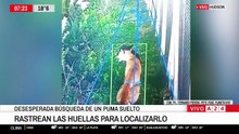 Un puma fue captado por cámaras en un barrio privado y genera alerta