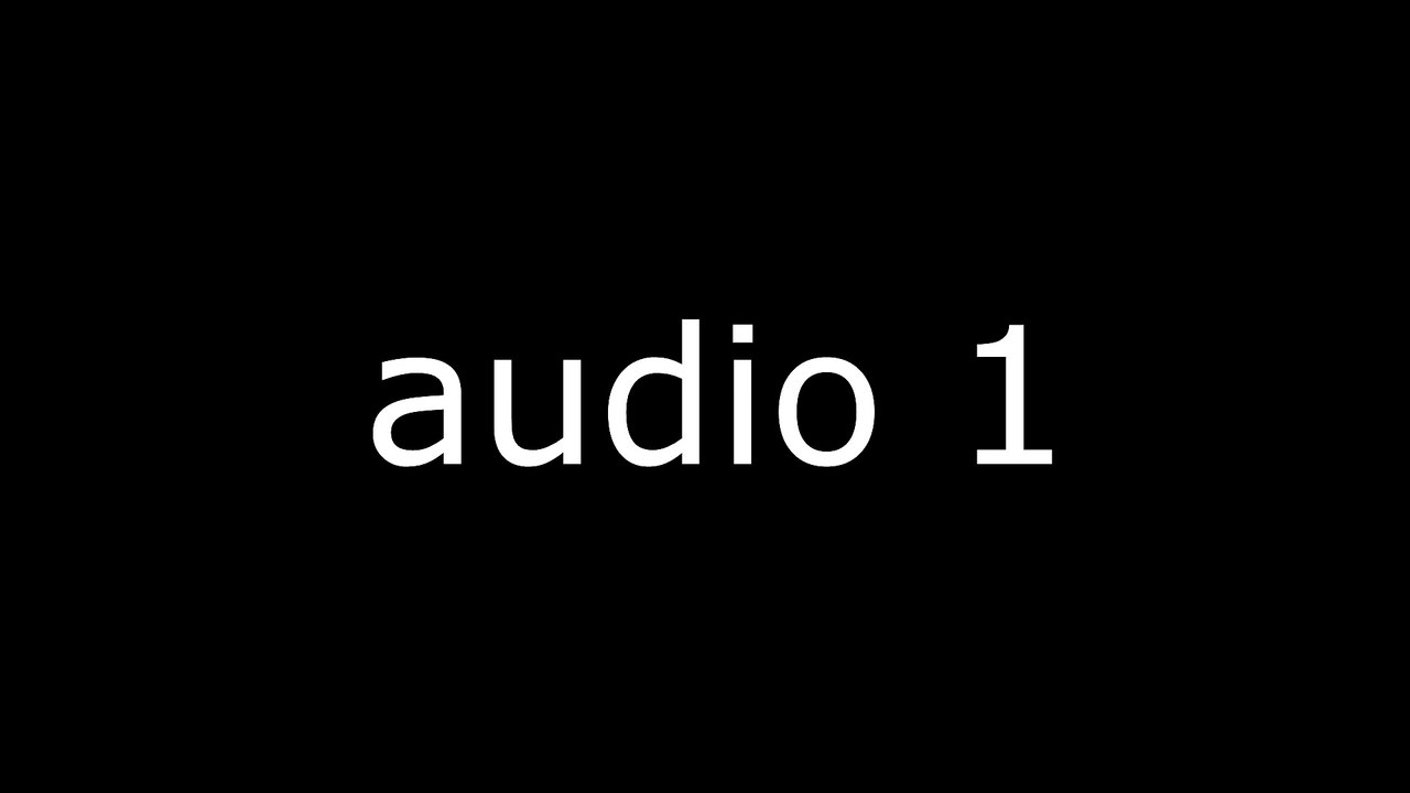 AUDIO 1