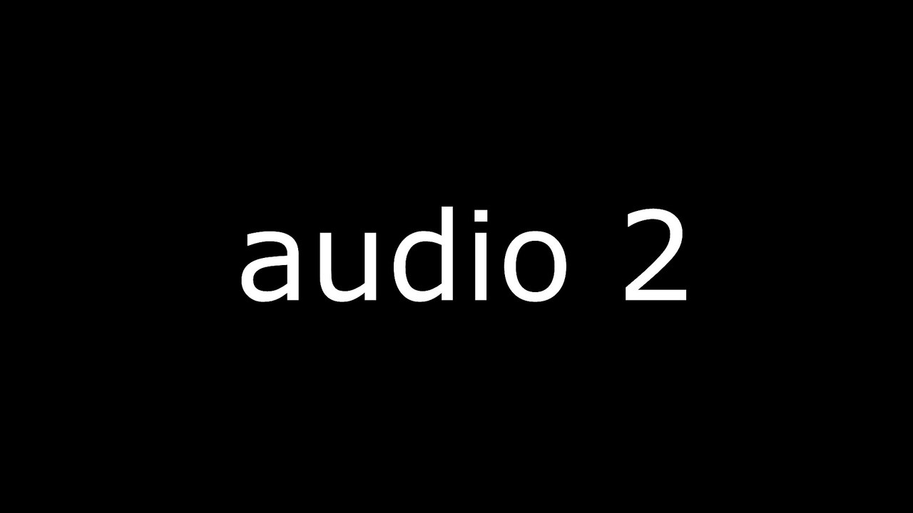 AUDIO 2