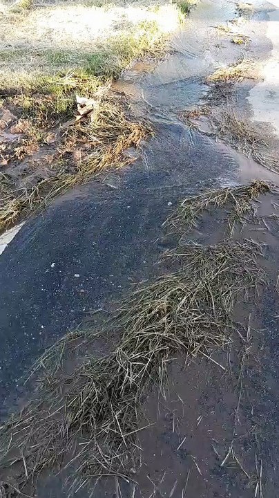 whatsapp video 2026-03-04 at 08.34.52.mp4