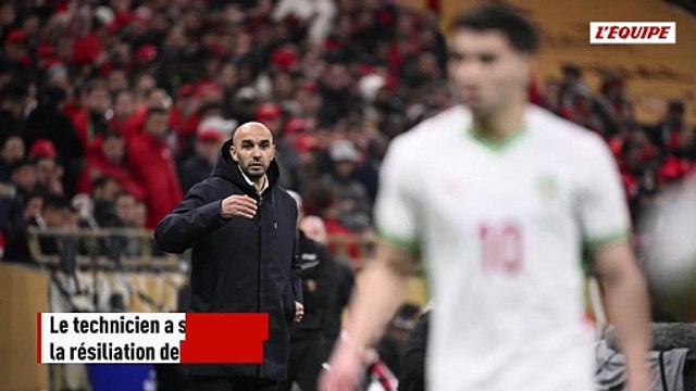 Walid Regragui et la Fédération Marocaine ont mis fin à leur collaboration - Foot - Maroc