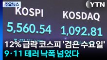 12% 급락 코스피 '공포의 수요일'...9·11 테러 낙폭 넘었다 / YTN