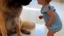 Dog and Baby Bond #dog #kingdomofawais