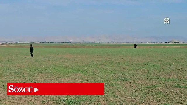 Suriye’nin Kamışlı ilçesinde balistik füze düştü