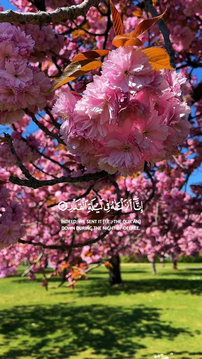 Laylatul Qadr is Better Than 1000 Months 🤍 | Surah Qadar