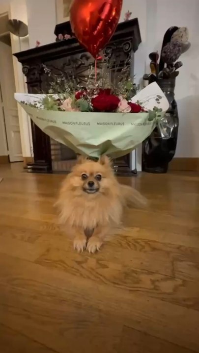 An exceptional delivery 🌹❤️