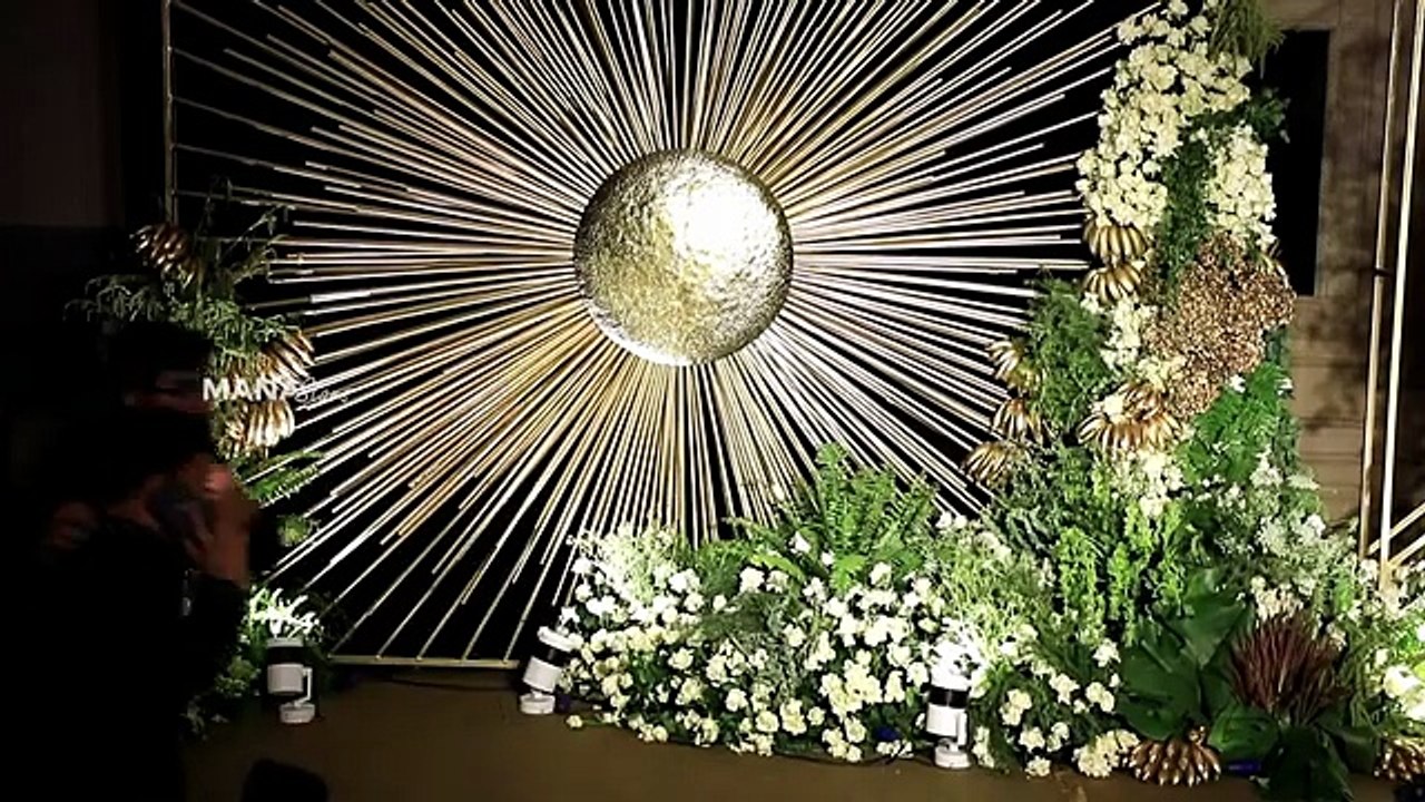 Actress Sreeleela Visuals @ Vijay Deverakonda & Rashmika Mandanna Reception