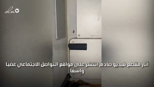 فيديو لصراصير تزحف داخل منطقة الطعام بطائرة ركاب يغزو مواقع التواصل
