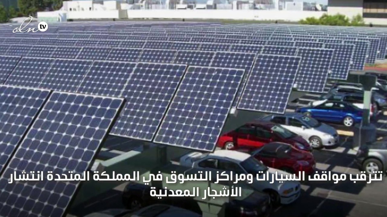 قريبًا أشجار تعمل بالطاقة الشمسية لشحن السيارات