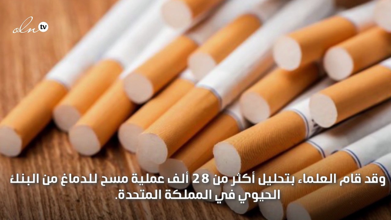 التدخين يقلل من حجم الدماغ