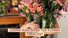 ¿Cómo mantener tus flores frescas?