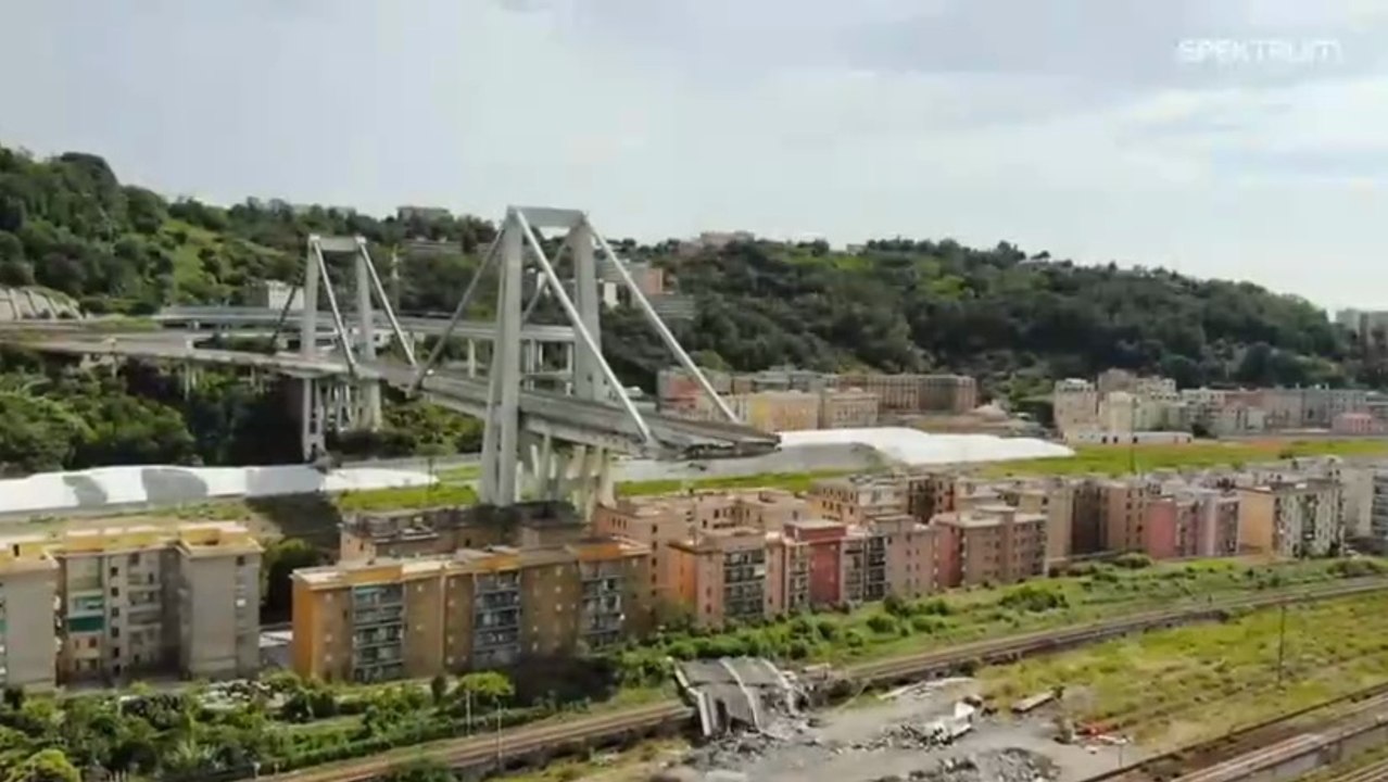 20izzvjnv17665660106 (1-2, RLW)d