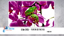 [포토오늘] 오늘 경칩... 기지개 켠 개구리  / YTN