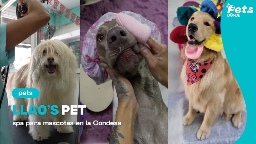 Llao’s Pet: spa para mascotas en CDMX