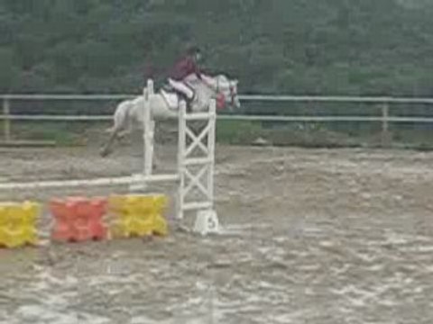 lasolfa et moi en 85 cm