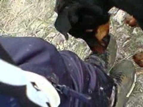 moi en petite session compète