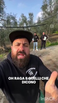 Michele monopoli story finalmente il suo olio One line