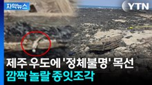 [자막뉴스] 종잇조각에 수상한 문구...제주 우도서 발견된 목선 / YTN