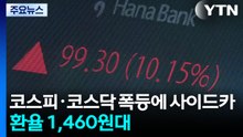 코스피·코스닥 폭등에 사이드카...환율 1,460원대 / YTN