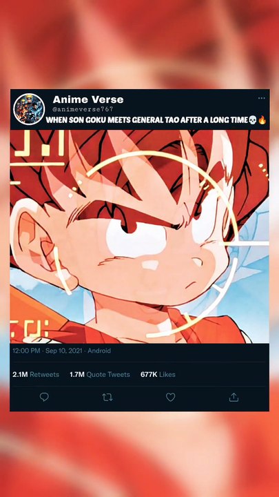 WHEN SON GOKU MEETS GENERAL TAO AFTER A LONG TI...