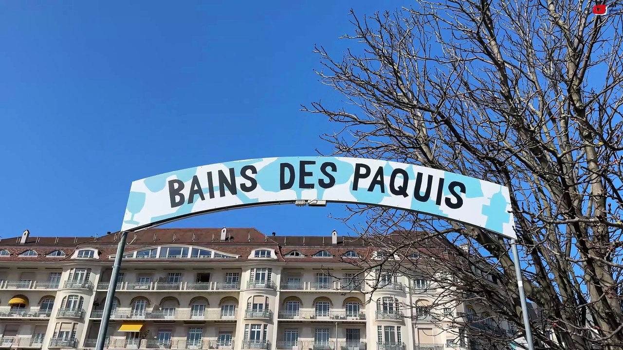 Genève  | Les Cygnes des Bains des Pâquis | SBF Schweiz Bretagne Fernsehen